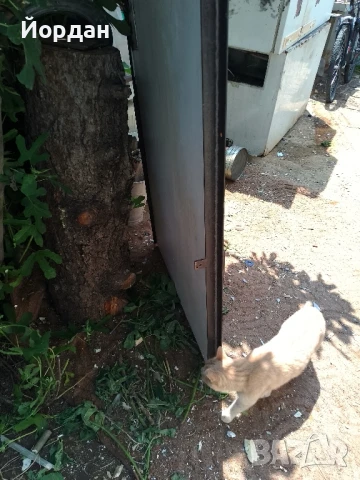 Метална Врата., снимка 4 - Входни врати - 50640496