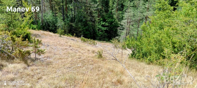 Продавам парцел в Родопите  с.Габрица.🌲, снимка 7 - Парцели - 50738610