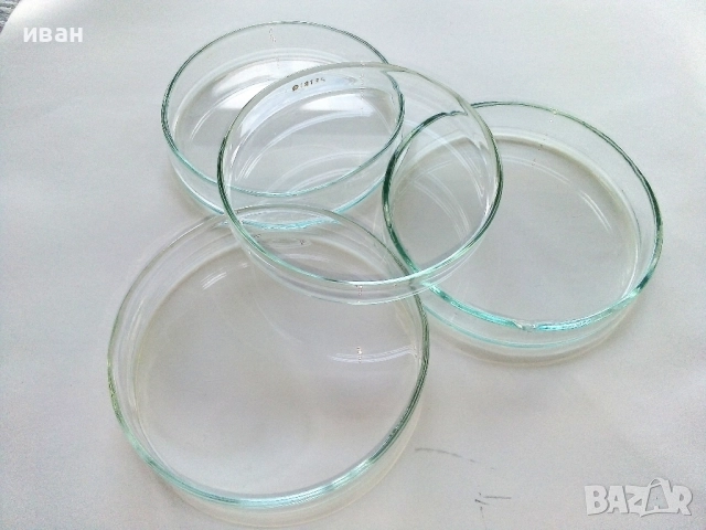 Стари Петриеви стъкла 4бр.