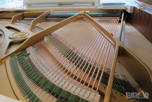 Нов роял W.HOFFMANN - T177 с дигитална свързаност C.Bechstein Connect, снимка 5 - Пиана - 50560845