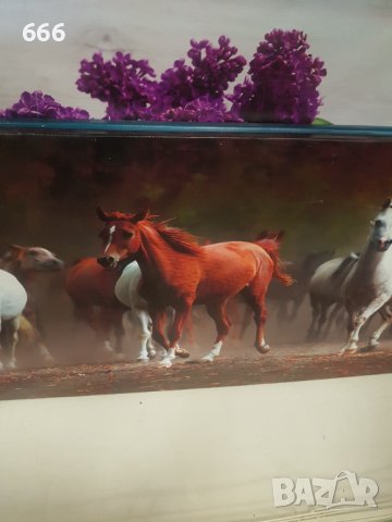 Картини, снимка 3 - Картини - 42216332