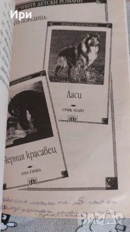 Без дом, снимка 4 - Детски книжки - 50373840