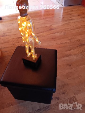 Светещ анатомичен макет, снимка 5 - Колекции - 44445665