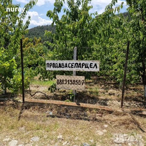 продава се парцел 600 кв , снимка 5 - Парцели - 51072273