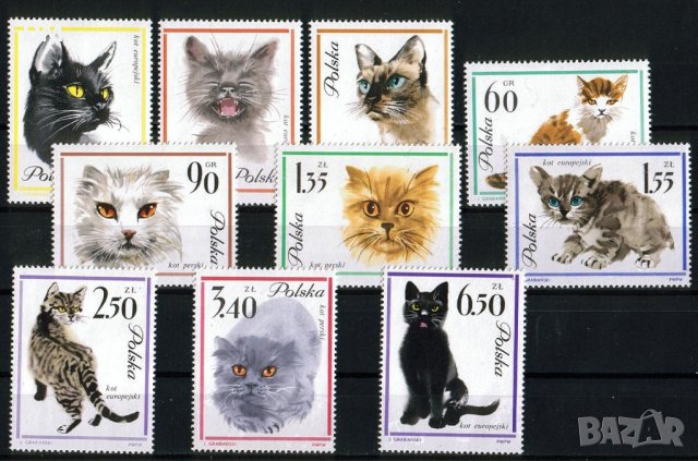 Полша 1964 - котки MNH 