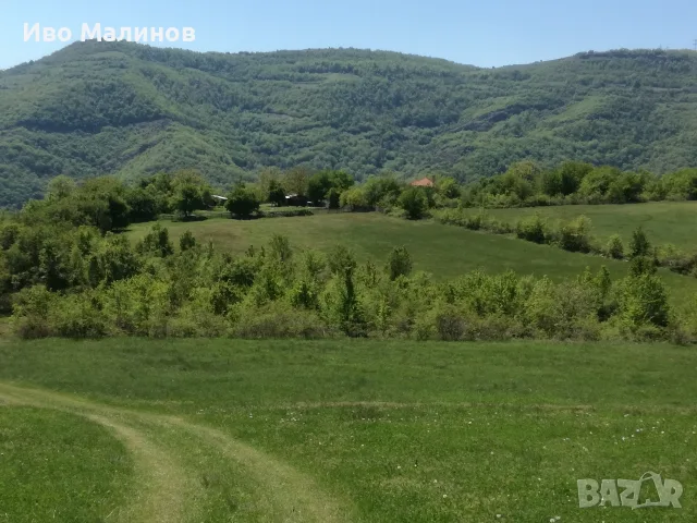 продавам два имота в село Лакатник , снимка 10 - Земеделска земя - 55769447