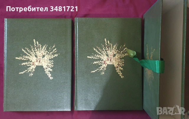 Изкуство, художници - 17 книги, снимка 12 - Енциклопедии, справочници - 52478753