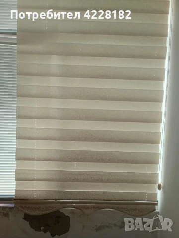 Бели щорита, снимка 4 - Щори - 51290215