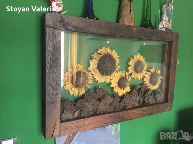 Слънчогледи 