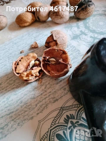 орехотрошачки , снимка 4 - Други - 52249752