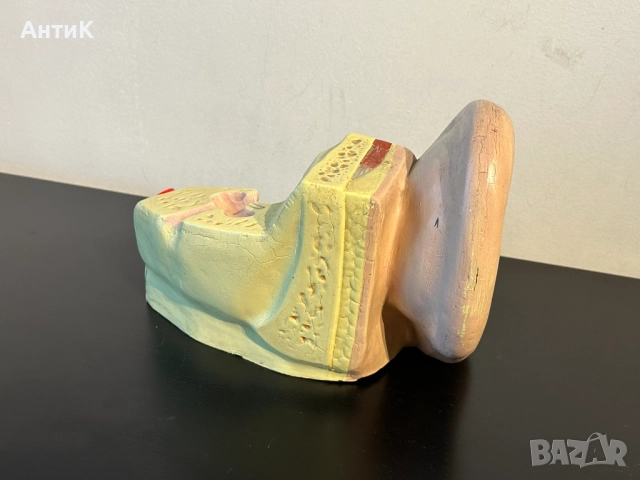 Соц Анатомичен Модел на Човешко Ухо, снимка 5 - Антикварни и старинни предмети - 51676648