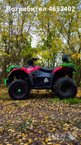 Linhai Yamaha 300 4x4, снимка 5 - Мотоциклети и мототехника - 52674348