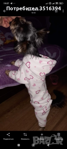Дрехи за малки кучета, снимка 8 - За кучета - 52323853
