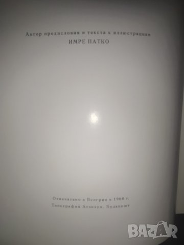 1960 Будапещ Имре Патко типография , снимка 4 - Колекции - 39365671
