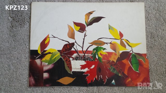 КАРТИНА НАТЮРМОРТ АПЛИКАЦИЯ, снимка 2 - Картини - 29092854