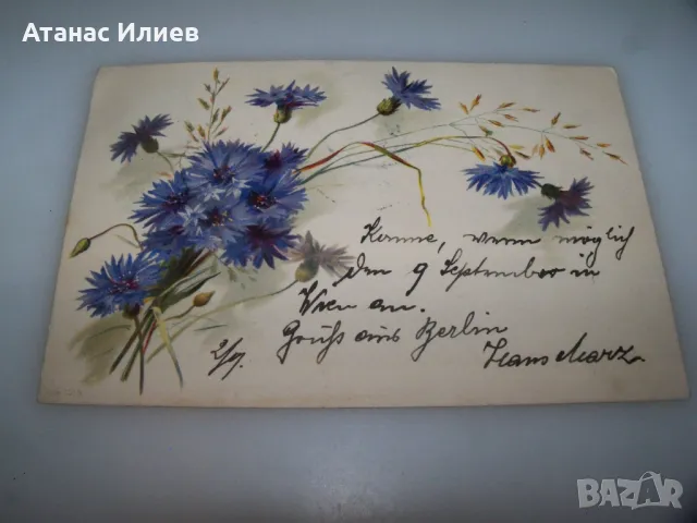 Красива австрийска пощенска картичка цветя, 1899г.