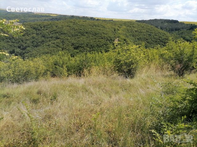 Продавам парцел в регулация в с. Кошов , снимка 3 - Парцели - 37338185