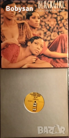  HIPHOP, SOUL,　BLUES　грамофонни плочи, снимка 12 - Грамофонни плочи - 50716283