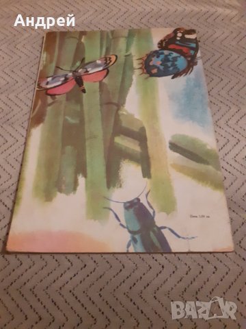 Детска книга Приключенията на Чипоноско, снимка 5 - Други ценни предмети - 31058334