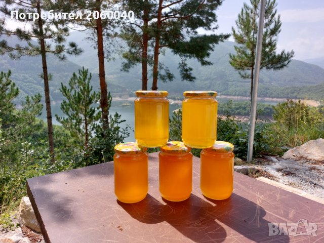 Натурален пчелен мед, снимка 3 - Пчелни продукти - 22628756