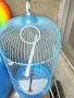 Продавам Канари 6 бр и 4 бр клетки с всички аксесоари!, снимка 13