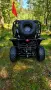 UTV-250cc с лебедка и теглич , снимка 6