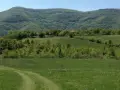 продавам два имота в село Лакатник , снимка 10