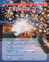 Коледен LED проектор с дистанционно, снежинки, падащ сняг, IP65, снимка 4