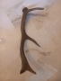 еленски рог , снимка 5