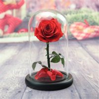 Златна роза Мече Куче Сърце от вечно червени и бели рози, снимка 9 - Декорация за дома - 31739798