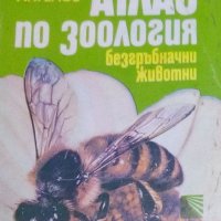 Павел Ангелов - Атлас по зоология. Безгръбначни животни, снимка 1 - Специализирана литература - 29643264