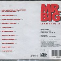 MR. BIG, снимка 2 - CD дискове - 35650323