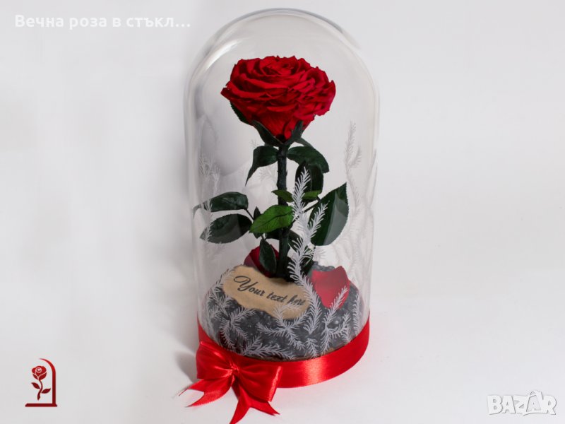 Романтичен подарък за приятелка / ЕСТЕСТВЕНА вечна роза в стъкленица / Подарък за Рожден Ден на Жена, снимка 1