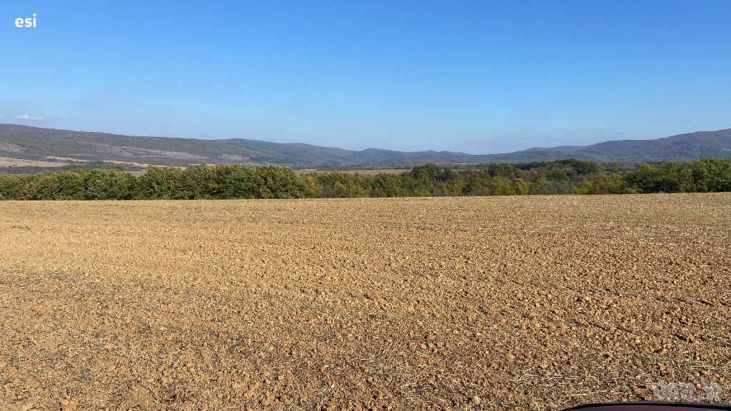 10 Декара Земеделска земя област Варна - Рента 100 лева - Цена 2390/дка, снимка 1