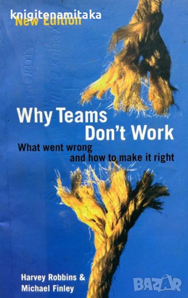 Why teams don't work - What went wrong and how to make it right - Harvey Robbins, Michael Finley, снимка 1