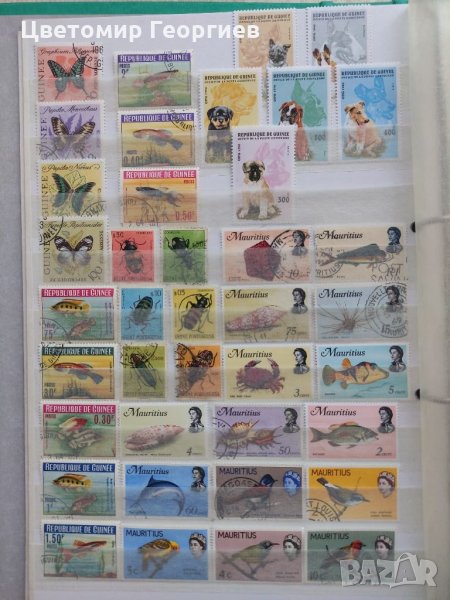 Пощенски марки гъби цветя 129 бр., снимка 1