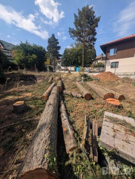 Дървени трупи смерч/дървен материал, снимка 1