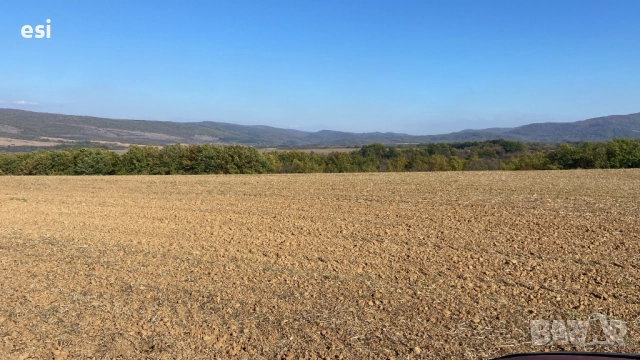 10 Декара Земеделска земя област Варна - Рента 100 лева - Цена 2390/дка