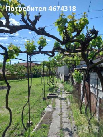 Продавам къща с двор в село Старосел, снимка 6 - Къщи - 52730315