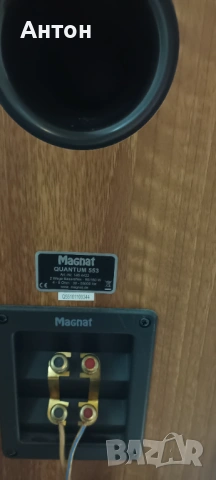 Magnat quantum 553