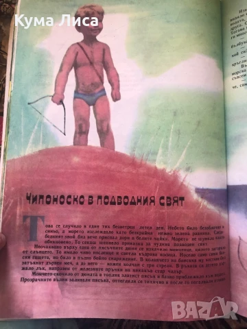 Приключенията на чипоноско , снимка 2 - Детски книжки - 51296778