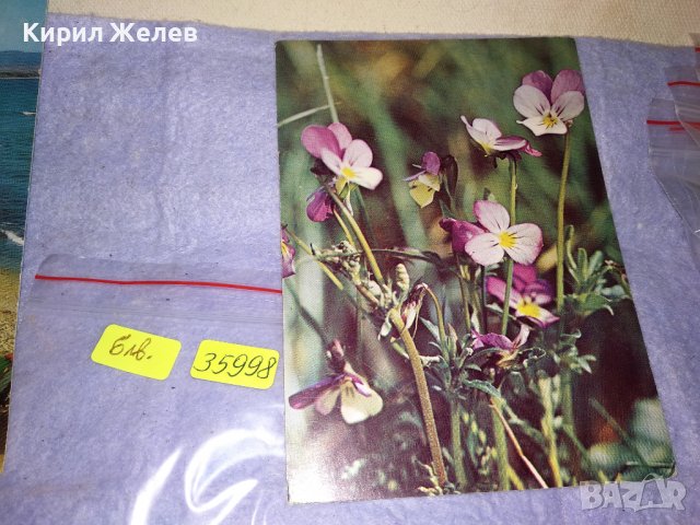 ЛОТ 4 СТАРИ ПОЩЕНСКИ КАРТИЧКИ - СЛЪНЧЕВ БРЯГ МАДАРА ФЛОРЕНЦИЯ ЦВЕТЯ 35998, снимка 3 - Филателия - 39432922