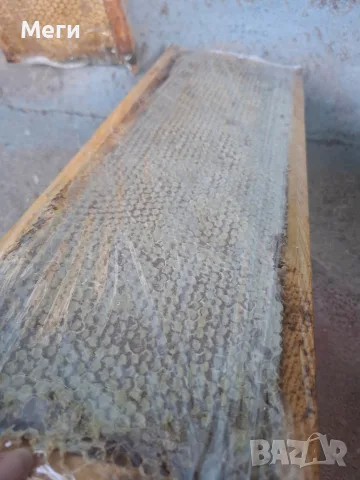 Продавам домашен пчелен мед.Собствено произвдоство., снимка 4 - Пчелни продукти - 39311531