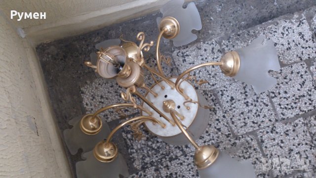 Полилеи, снимка 2 - Полилеи - 31571847