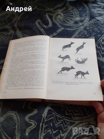 Книга Наръчник на Ловеца и Риболовеца, снимка 5 - Специализирана литература - 30186316
