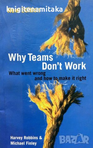 Why teams don't work - What went wrong and how to make it right - Harvey Robbins, Michael Finley