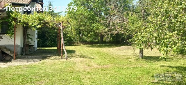 Опасни дървета рязане косене непроходима растителност почистване от-до, снимка 4 - Други услуги - 49352802