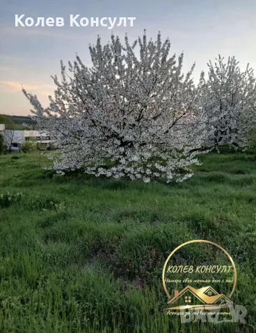 овощна градина село Узунджово