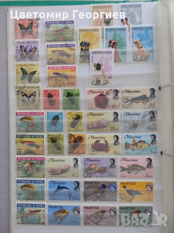 Пощенски марки гъби цветя 129 бр.