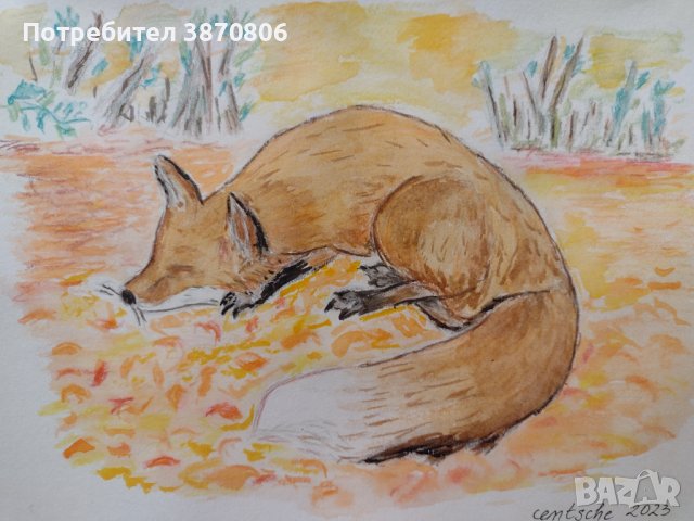 Рисунка Спяща лисица 17,5/24,5 см, снимка 1 - Картини - 42846023
